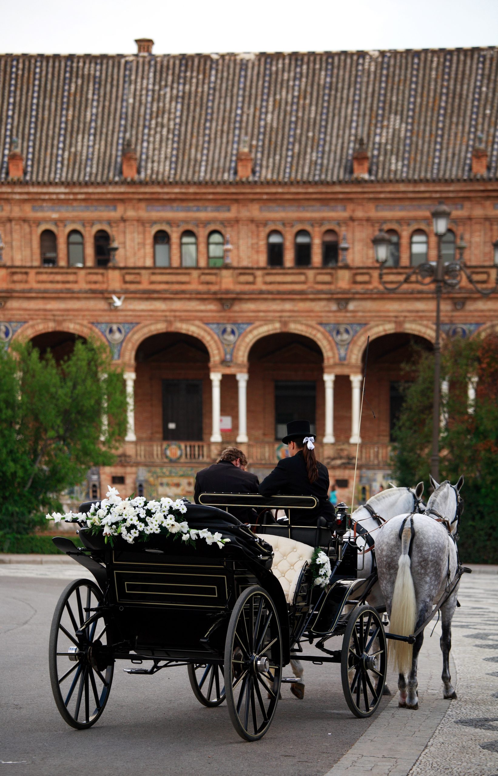 Horse and Carriage